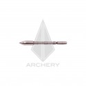 Victory Archery VAP Target Point 80-100 gr